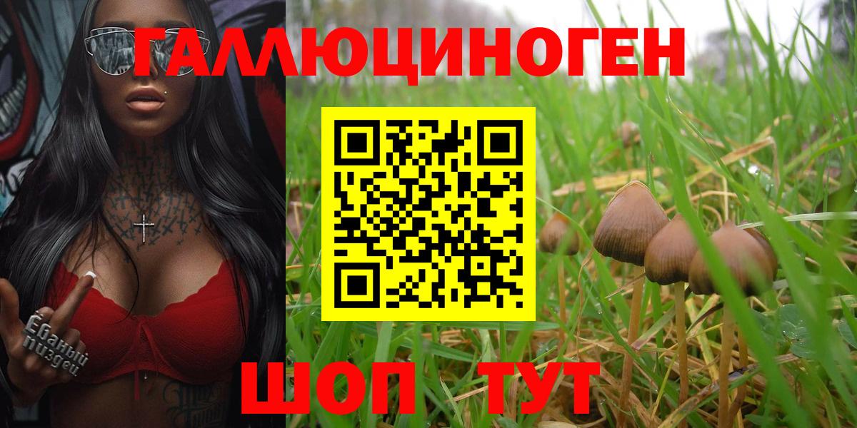 Галлюциногенные грибы мухоморы  Псилоцибиновые грибы Psilocybine cubensis  Вход с VPN  Самара 