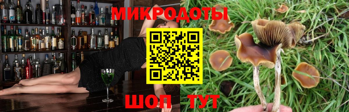 Галлюциногенные грибы прущие грибы Самара